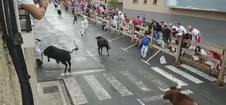 В Іспанії бик проткнув рогами чоловіка