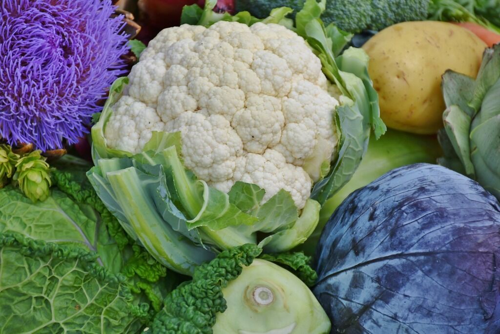 Как похудеть осенью: названы самые полезные овощи для рациона