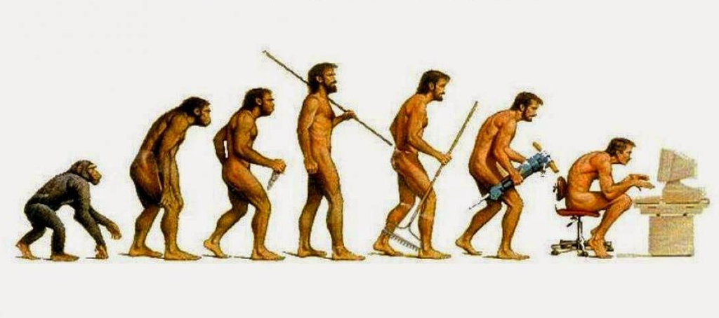 Эволюция человечества по теории Дарвина
