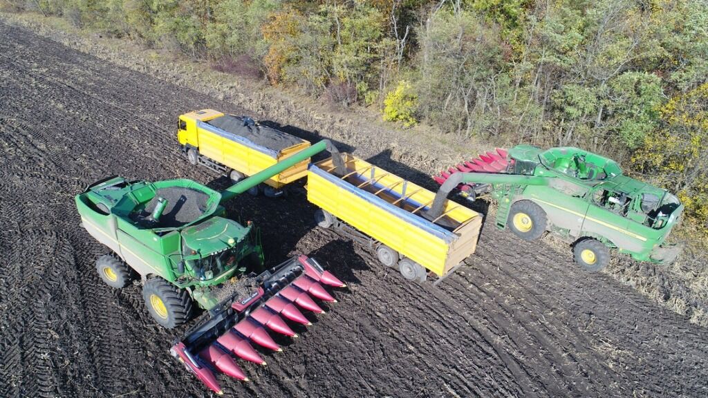 На полях "Укрлендфармінг" вже зібрали 65% соняшнику та очікують рекордного врожаю