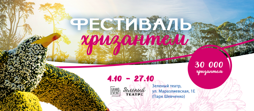Морвокзал і Привоз з квітів: В Одесі вперше пройде фестиваль хризантем