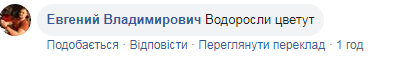 Коментарі