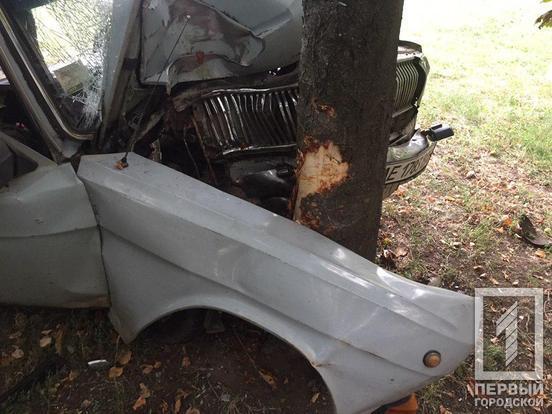 Под Днепром пьяный водитель угодил в дерево