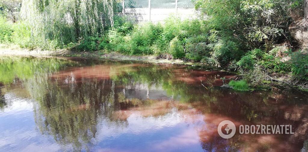 В Киеве в озере покраснела вода