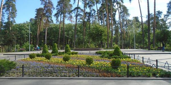 Парк "Партизанская слава", на который были выделены средства