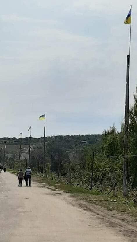 Щоб не дражнити "ЛНР"? У Станиці Луганській змусили зняти українські прапори, люди обурені