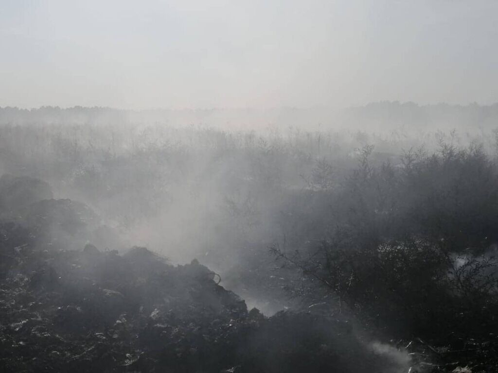 Вблизи села Триполье Обуховского района Киевской области возник пожар на территории свалки