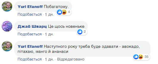 2 ведра картошки и квашенные помидоры: школа под Хмельницким попала в скандал из-за "поборов" в столовой