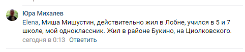 Вечірки з Меладзе і діти в елітній школі ЄС: розслідування OBOZREVATEL про нового прем'єра РФ