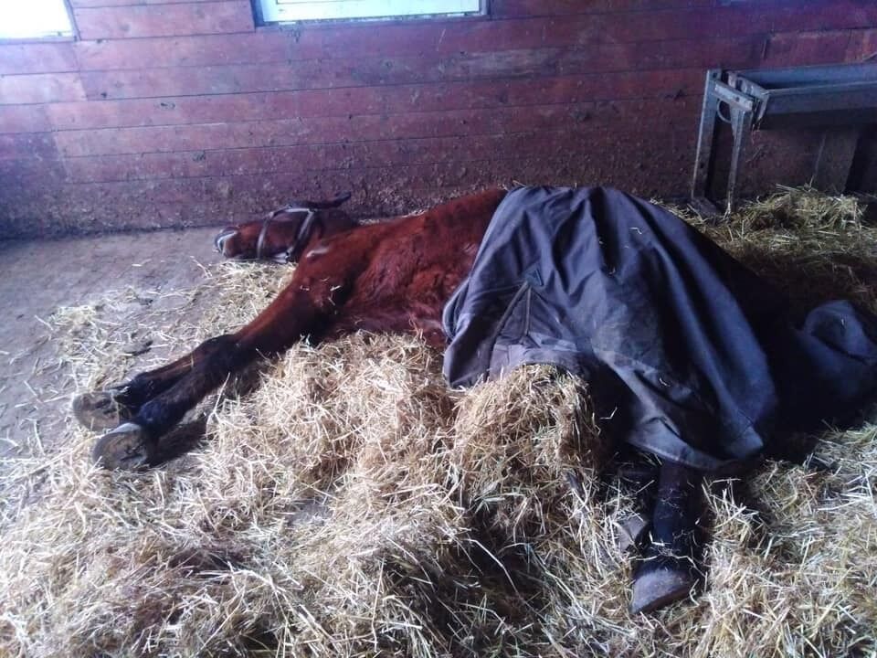 Скандальний забудовник Войцеховський знищив елітний маєток під Києвом: як він виглядав