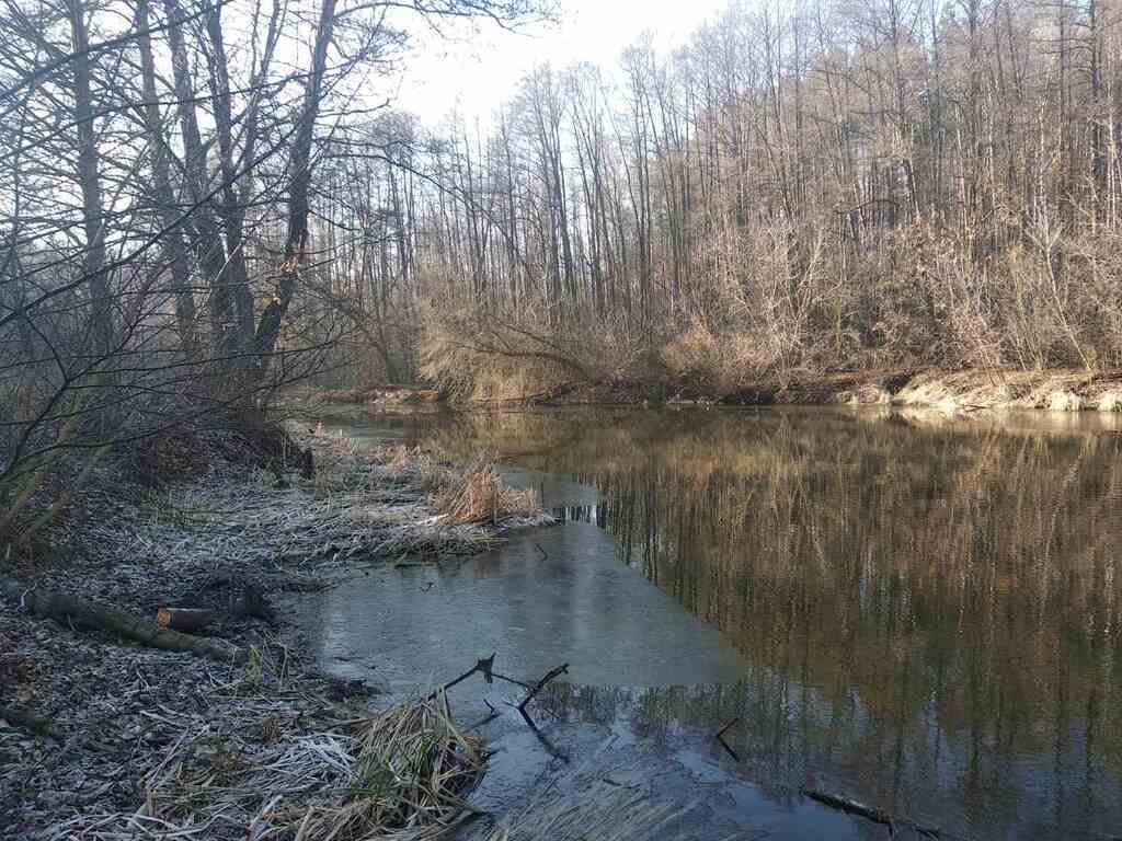 На Хмельниччині фабрику запідозрили у викиді отрути в річку: екологи забили на сполох