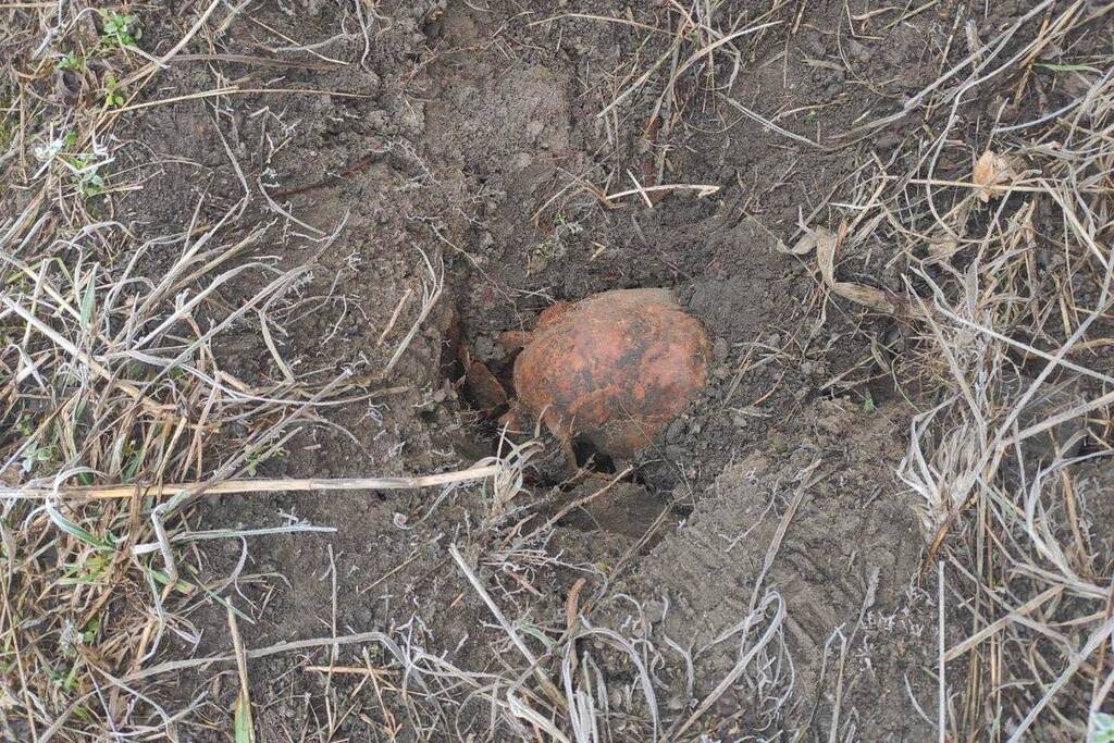 У Дніпрі біля автовокзалу знайшли людський череп. Фото 18+