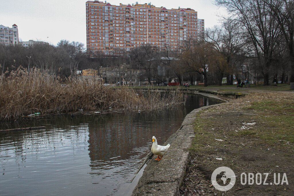 Зима не спешит в Одессу: фоторепортаж из старейшего городского парка