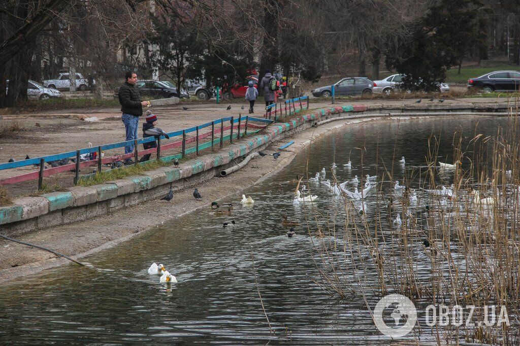 Зима не спешит в Одессу: фоторепортаж из старейшего городского парка
