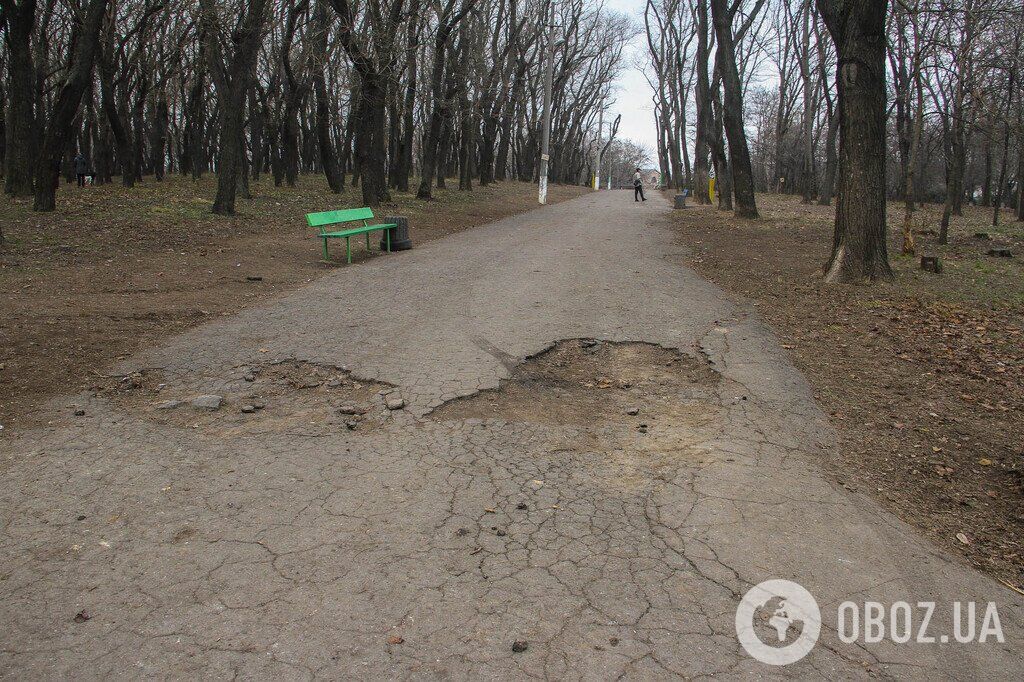 Зима не спешит в Одессу: фоторепортаж из старейшего городского парка