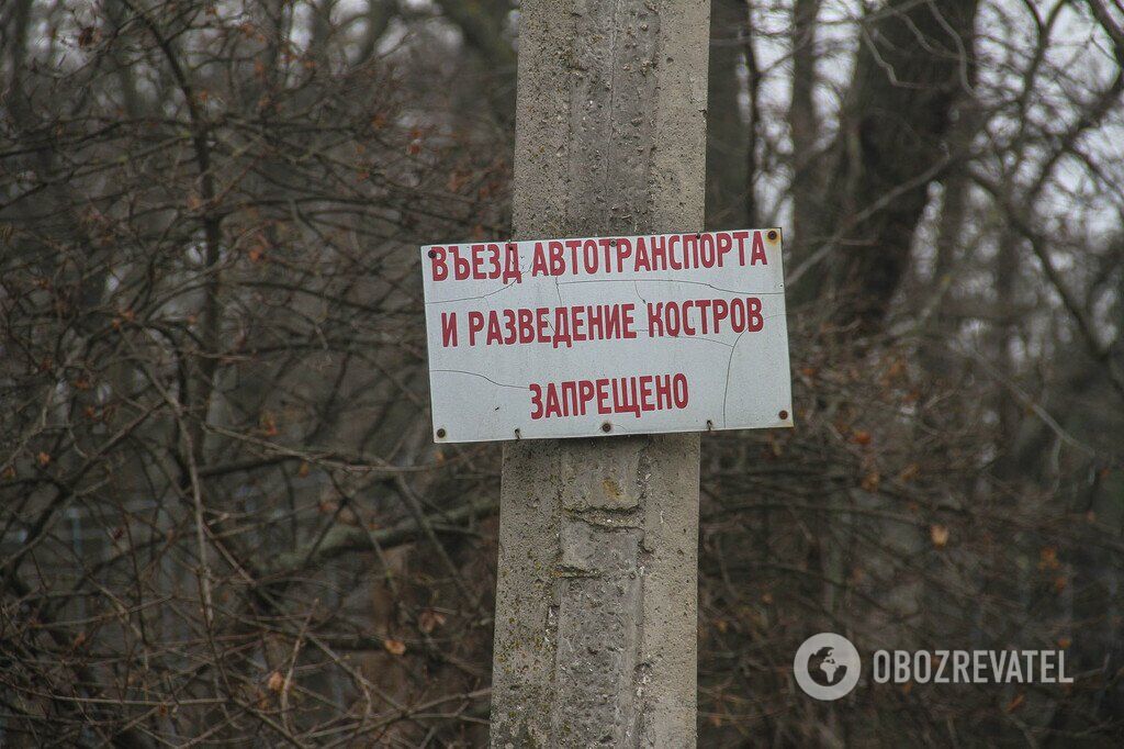 Зима не спешит в Одессу: фоторепортаж из старейшего городского парка