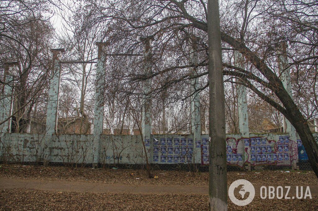 Зима не поспішає в Одесу: фоторепортаж з найстарішого міського парку