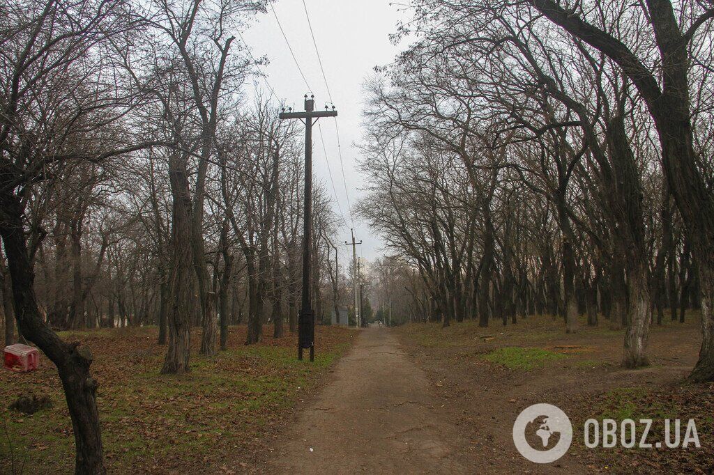 Зима не поспішає в Одесу: фоторепортаж з найстарішого міського парку