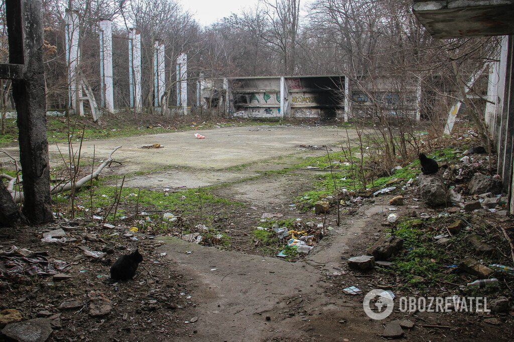 Зима не спешит в Одессу: фоторепортаж из старейшего городского парка