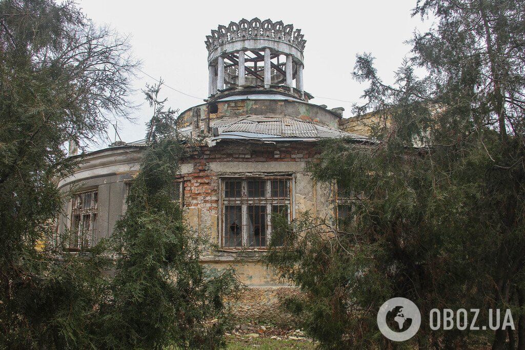 Зима не спешит в Одессу: фоторепортаж из старейшего городского парка