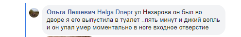 В Днепре догхантеры стреляют в собак ядовитыми патронами. Фото