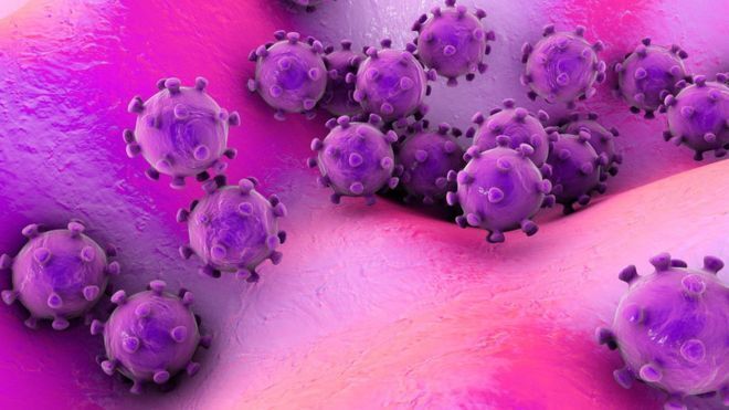 До этого было известно только о шести коронавирусах, которые способны инфицировать человека