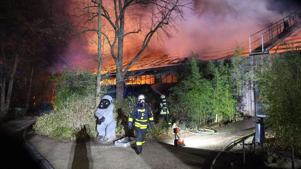 Пожар в зоопарке Крефельда