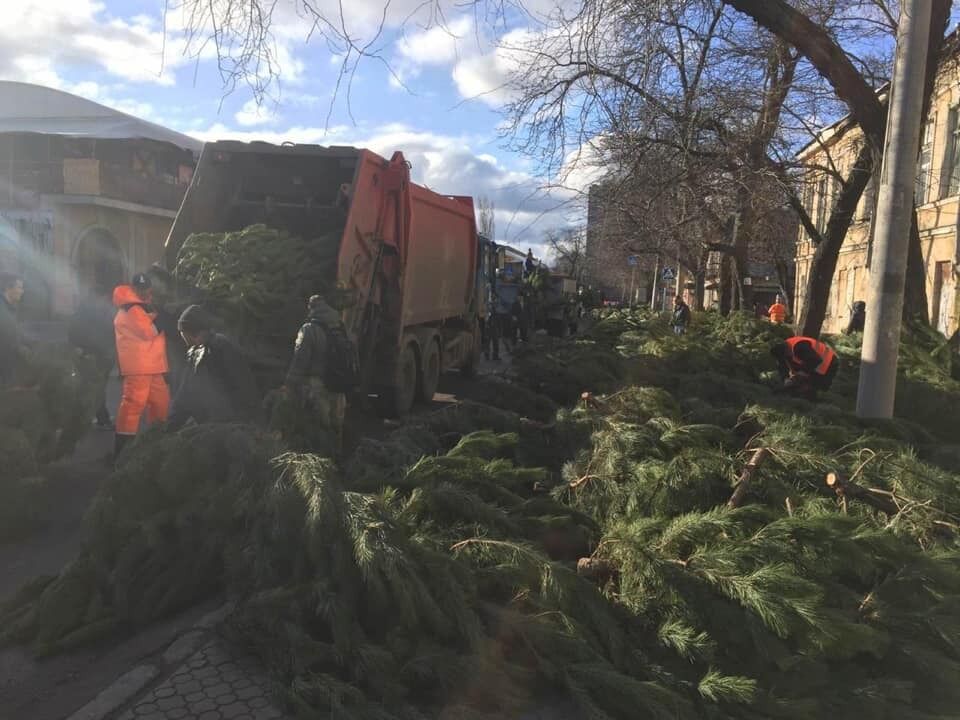 В Одессе составили “черный список” торговцев елками, бросивших на улицах нераспроданные деревья