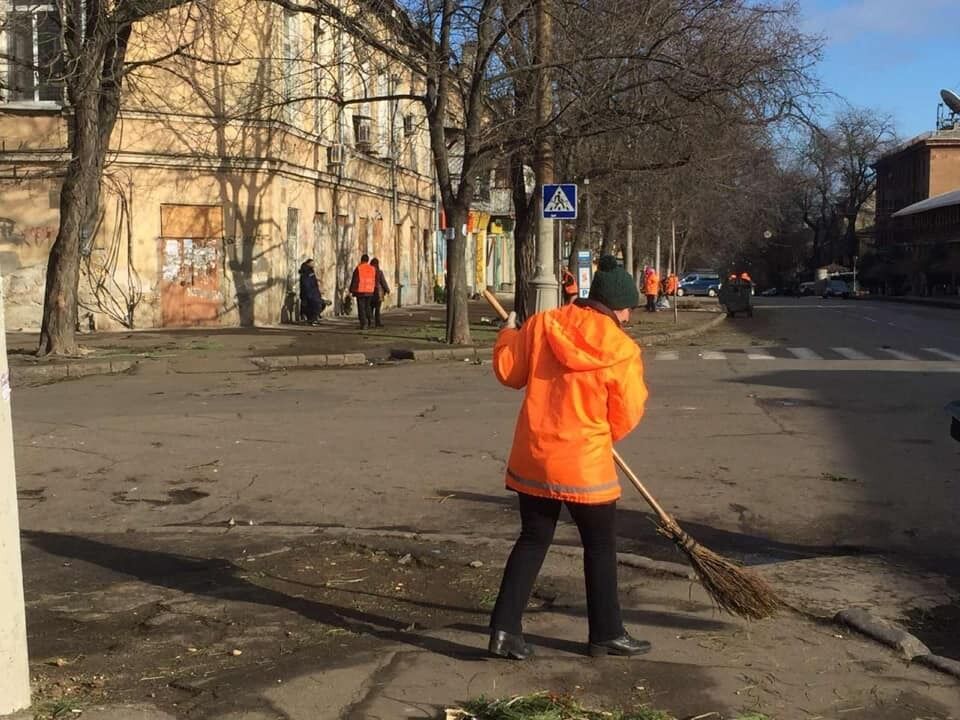 В Одесі склали "чорний список" торговців ялинками, які кинули на вулицях нерозпродані дерева