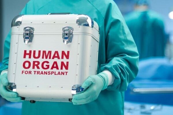 Трансплантация органов в Украине