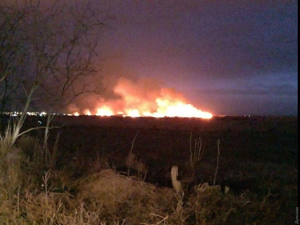 Масштабна пожежа під Одесою