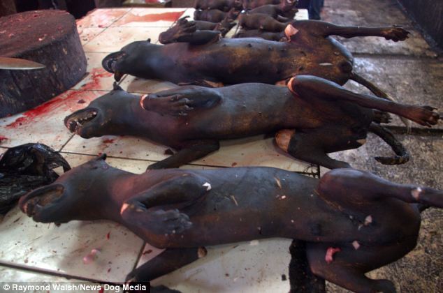 В Индонезии едят жареных крыс и собак