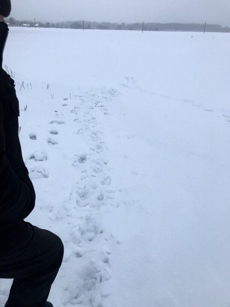 У Росії 13-річних школярів на смерть засипало снігом