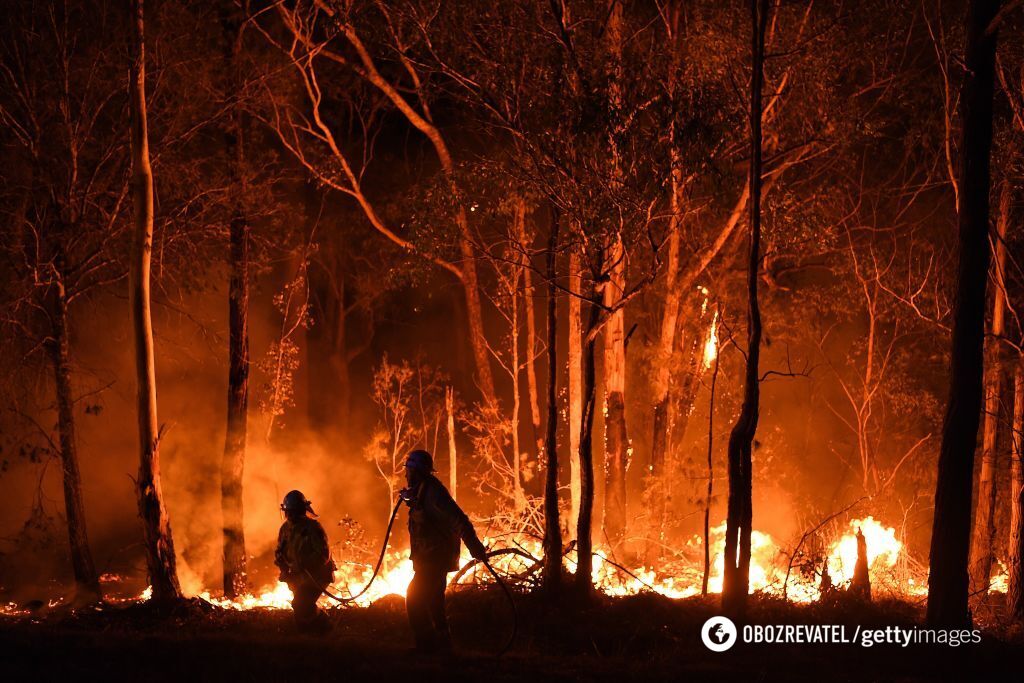 Пожежі в Австралії