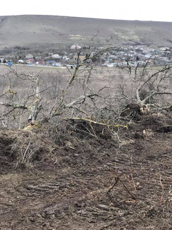 Уничтожение горы Клементьева