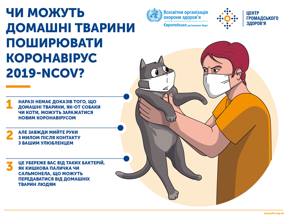 Как спастись от коронавируса: украинцам дали советы