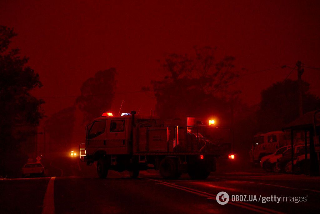 В Австралії не припиняються лісові пожежі