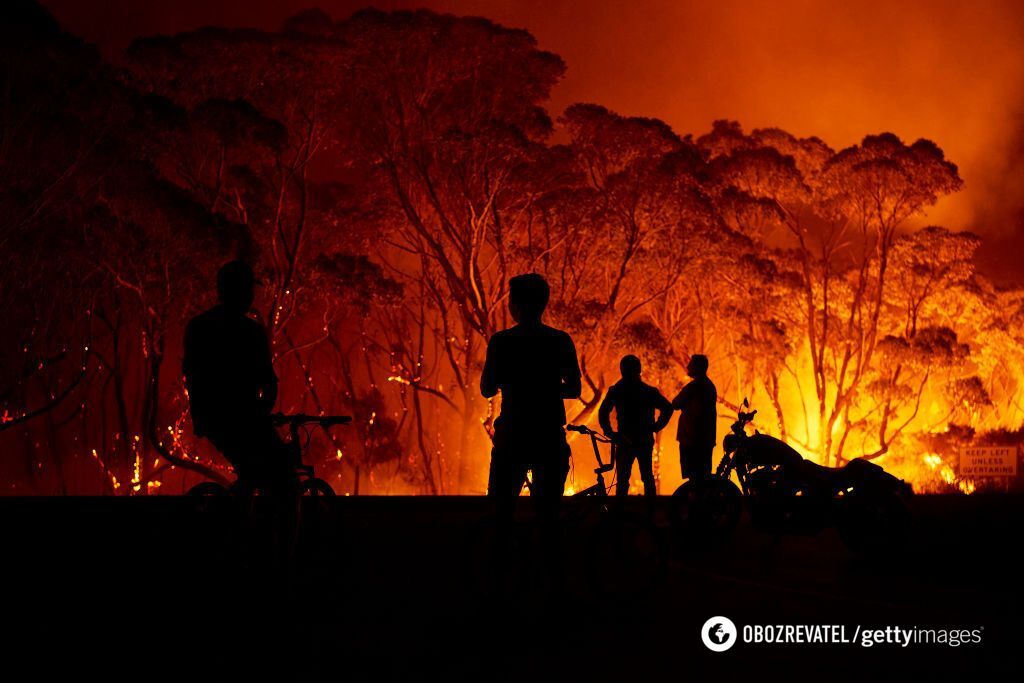 В Австралії не припиняються лісові пожежі