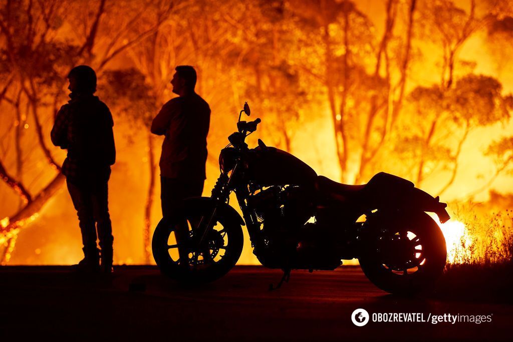 В Австралії не припиняються лісові пожежі