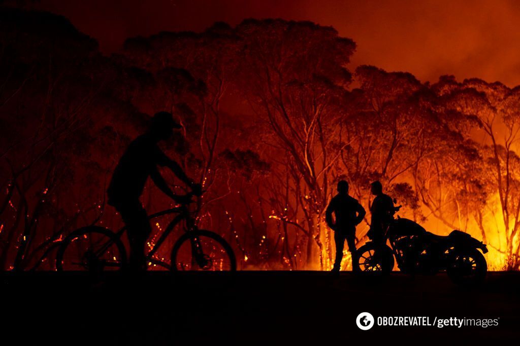 В Австралии не прекращаются лесные пожары