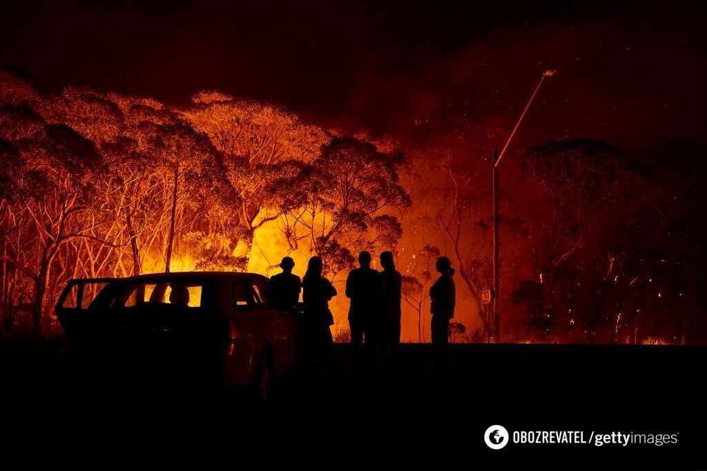 В Австралії не припиняються лісові пожежі