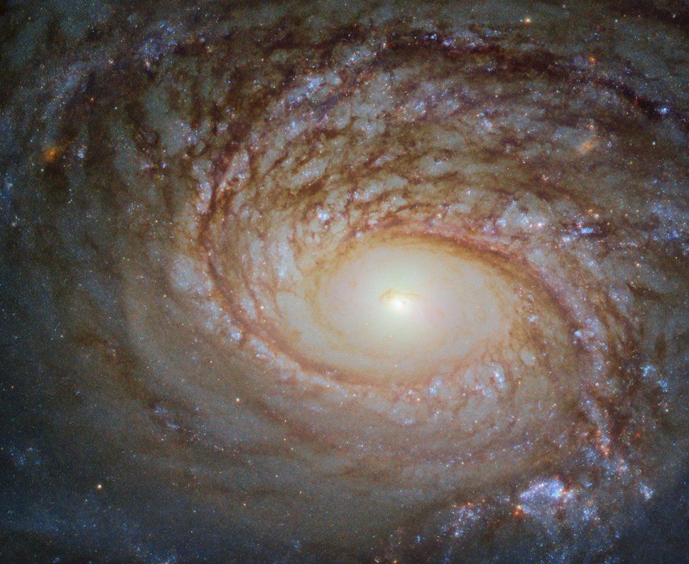 NGC 772