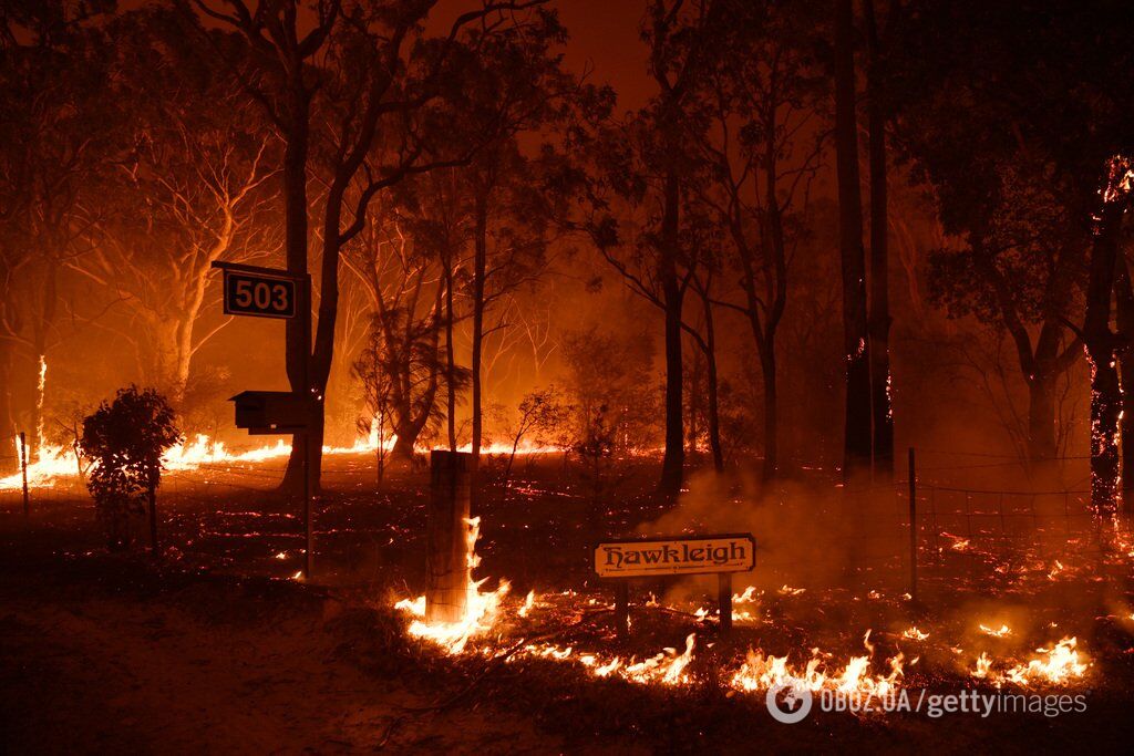 Адские пожары в Австралии