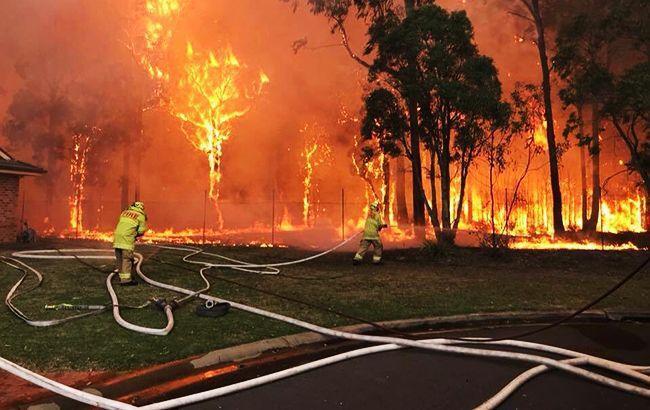 Пожежі в Австралії