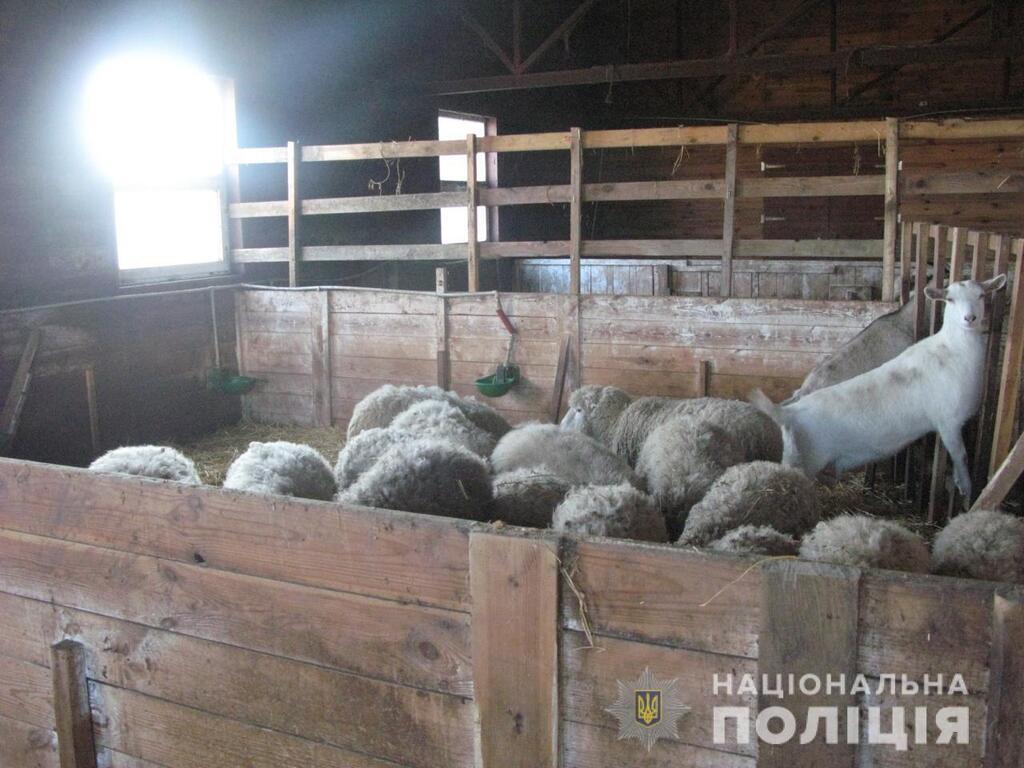 В частном зоопарке под Киевом морили голодом животных