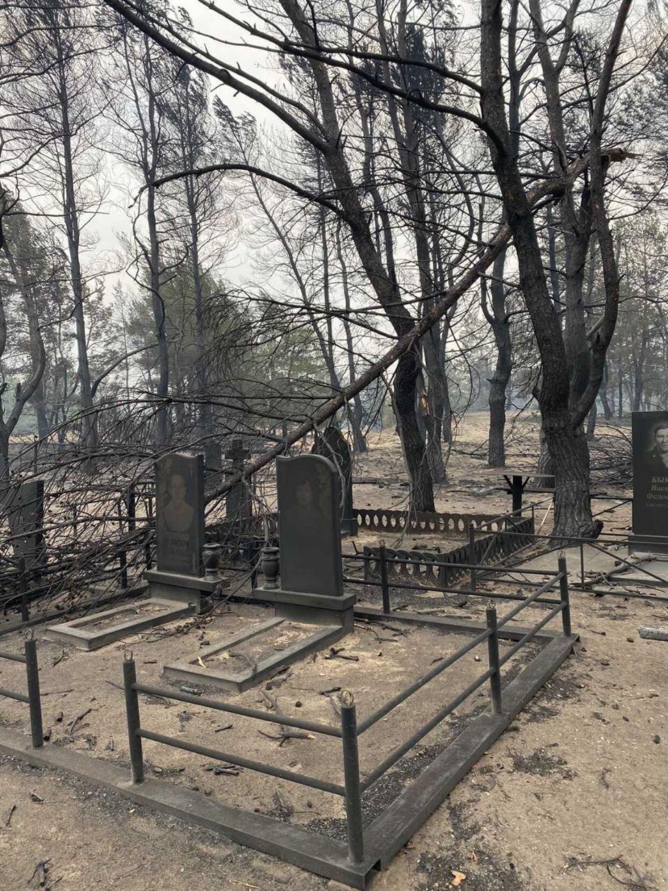Пожар затронул всю территорию кладбища.