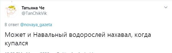 Отравление Навального связали тоже с водорослями