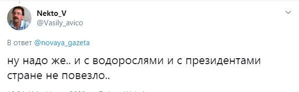 І з водоростями, і з президентом країні не пощастило