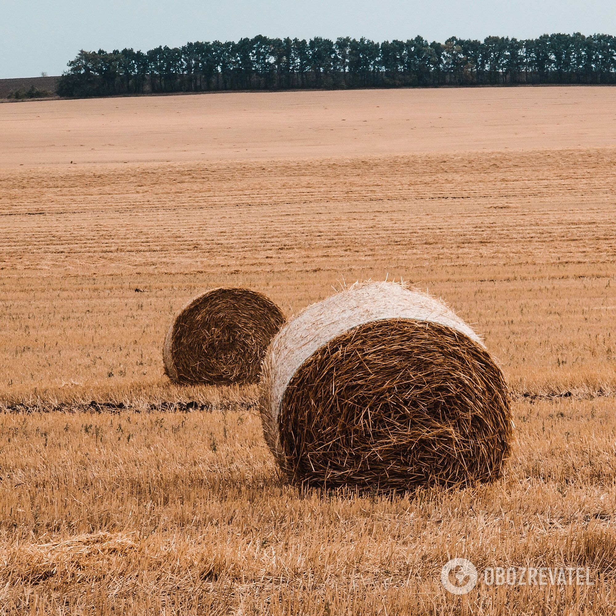 Фотопрогулянка Житомирщиною, яку легко влаштувати власноруч