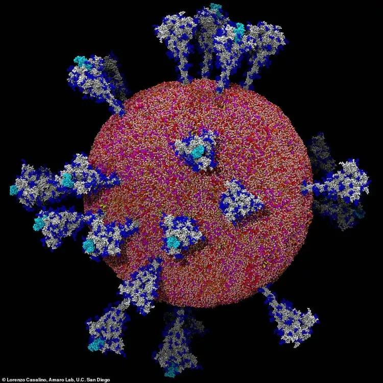 Коронавірус SARS-CoV-2